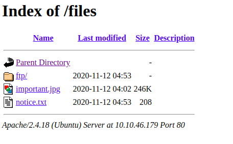 TryHackMe Startup - Apache Web files