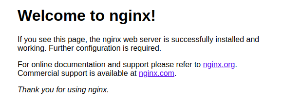 TryHackMe Easy Peasy - nginx port 80