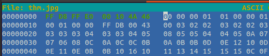TryHackMe Madness hex