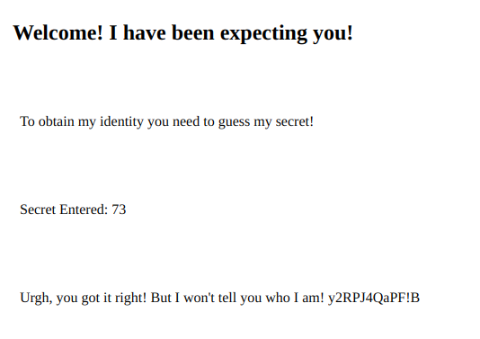 TryHackMe Madness - Secret 2