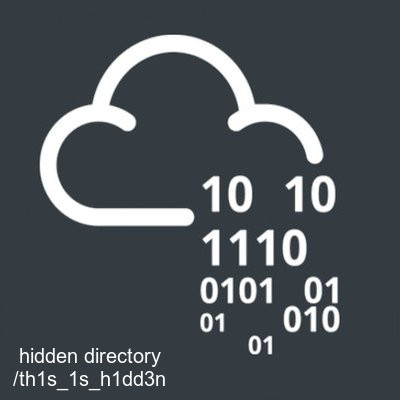 TryHackMe Madness - hidden